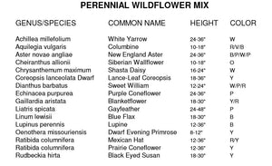 Midwest Wildflower Seeds