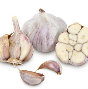 SIBERIAN HARDNECK CULINARY GARLIC